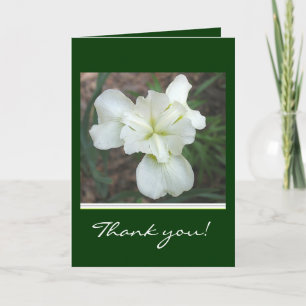 Remerciements Carte de remerciement Iris blanc