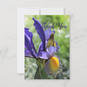 Remerciements Carte de remerciement Iris Violet