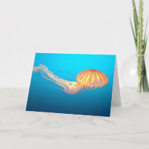 Carte de remerciement Méduse flottant dans l'eau b