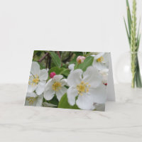Carte de remerciement pliée Cherry Blossom Surpris