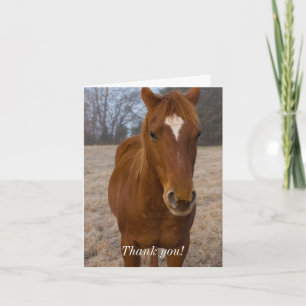 Remerciements Carte de remerciement Pose de cheval