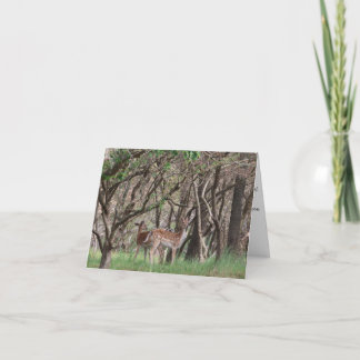 Remerciements Carte de remerciement pour Baby Shower Summer Wood