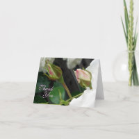 Carte de remerciement pour deux papilles roses Ros