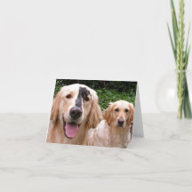 Carte de remerciement pour les Golden Retrievers P