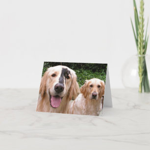 Remerciements Carte de remerciement pour les Golden Retrievers P