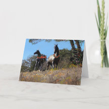 Carte de vacances Sprite et Spring