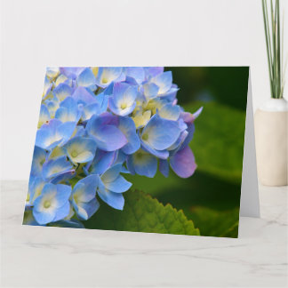 Remerciements Carte de vœux aux hortensias