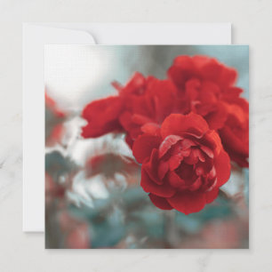 Remerciements Carte de vœux botanique Fleur de rose rouge vibran