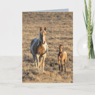 Remerciements Carte de voeux de Cheval Sauvage - Grace et Donata