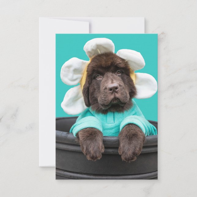 Remerciements Carte de vœux de chiot dans un pot de fleurs (Devant)