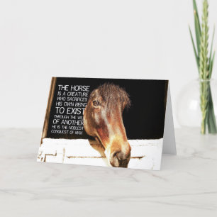 Remerciements Carte de voeux NOBLE STALLION