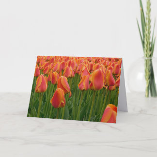 Remerciements Carte de vœux pliée de photographie d'art fin de T