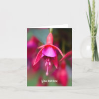 Carte de vœux pliée fuchsia rose et violet