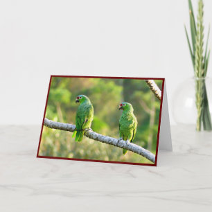 Remerciements Carte de voeux pliée Parakeets