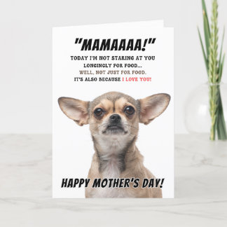 Remerciements Carte de voeux pour la fête des mères du Chihuahua