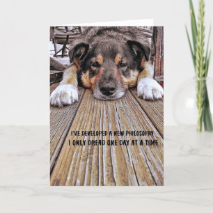 Remerciements Carte de voeux pour la vie d'un chien