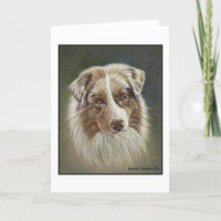 Carte de voeux Red Merle Australian Shepherd