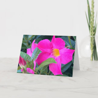 Remerciements Carte de vœux vierge Mandevilla
