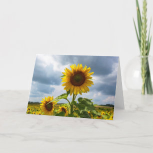 Remerciements Carte de vœux vierge tempête tournesol