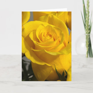 Remerciements Carte de vœux vierge Yellow Rose