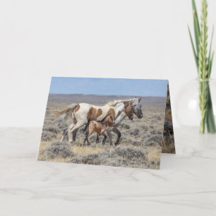 Remerciements Carte de voeux Wild Horse - Wild Pinto & Appaloosa