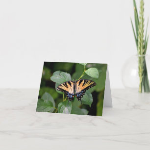 Remerciements Carte pour notes blanc de papillon Swallowtail.