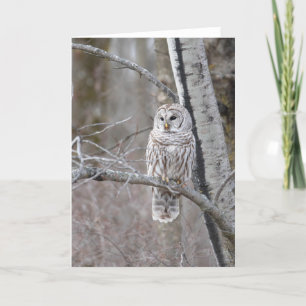 Remerciements Carte pour notes blanc d'oiseaux de Chouette barré