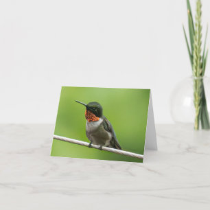 Remerciements Carte pour notes de colibri