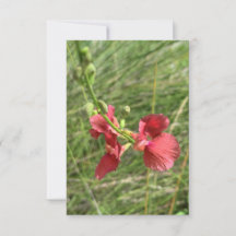 Carte pour notes de fleurs
