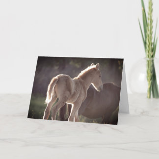 Remerciements CHEVAUX SAUVAGES D'UTAH FOAL Carte de remerciement
