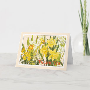 Remerciements Daffodiles, Carte Botanique - Salutation de Person