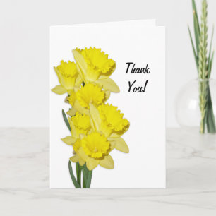 Remerciements Daffodiles sur blanc blanc blanc blanc carte de re