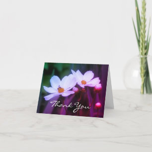 Remerciements Fleurs De Cosmos Blanches Et Carte de remerciement