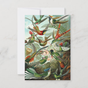 Remerciements Haeckel Hummingbirds carte de voeux tout-temps