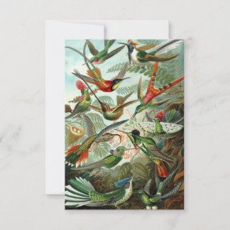 Remerciements Haeckel Hummingbirds carte de voeux tout-temps