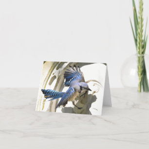 Remerciements Jay bleu #3 - Carte de note blanche