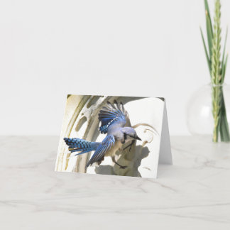 Remerciements Jay bleu #3 - Carte de note blanche