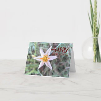 Remerciements Joyeuses Fêtes Carte de Vœux Blanche Vierge