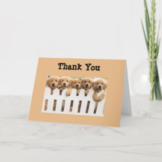Remerciements La Carte de Golden Retrivers