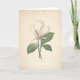 Remerciements Magnolia par la carte de sympathie de Redoute