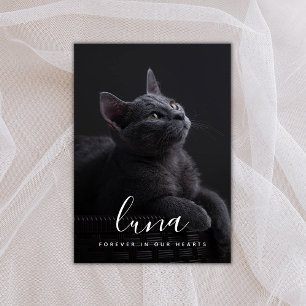 Remerciements Mémorial de la carte Pet Sympathy Card