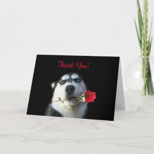 Remerciements Merci, Tu M'As Fait Ma Carte De Jour Mignonne