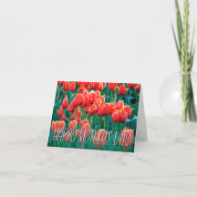 Orange Tulips Photo Bonne carte de fête des mères