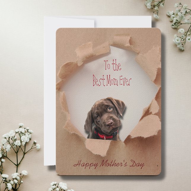 Remerciements Papier déchiré Brown Chien Maman Carte de fête de  (Mothers Day is a great time to show mom how special she is, but any day is a day to say I love you!)