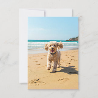 Remerciements Poodle à la carte de note plage