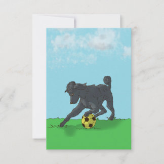 Remerciements Poodle noir avec carte de note Ball de Football