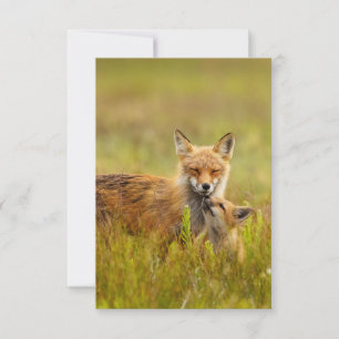 Remerciements Trousse Red Fox Recherche de la carte de voeux Mom