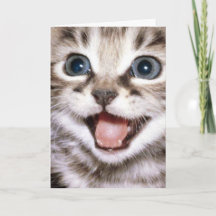 Vous êtes le miaulement du chat ! Carte de chat dr