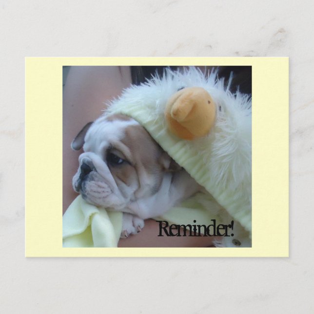 Reminder Postcards English Bulldog Puppy Postkarte (Vorderseite)