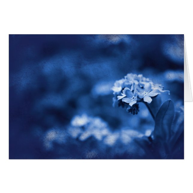 Reminiscence (Vorderseite (Horizontal))